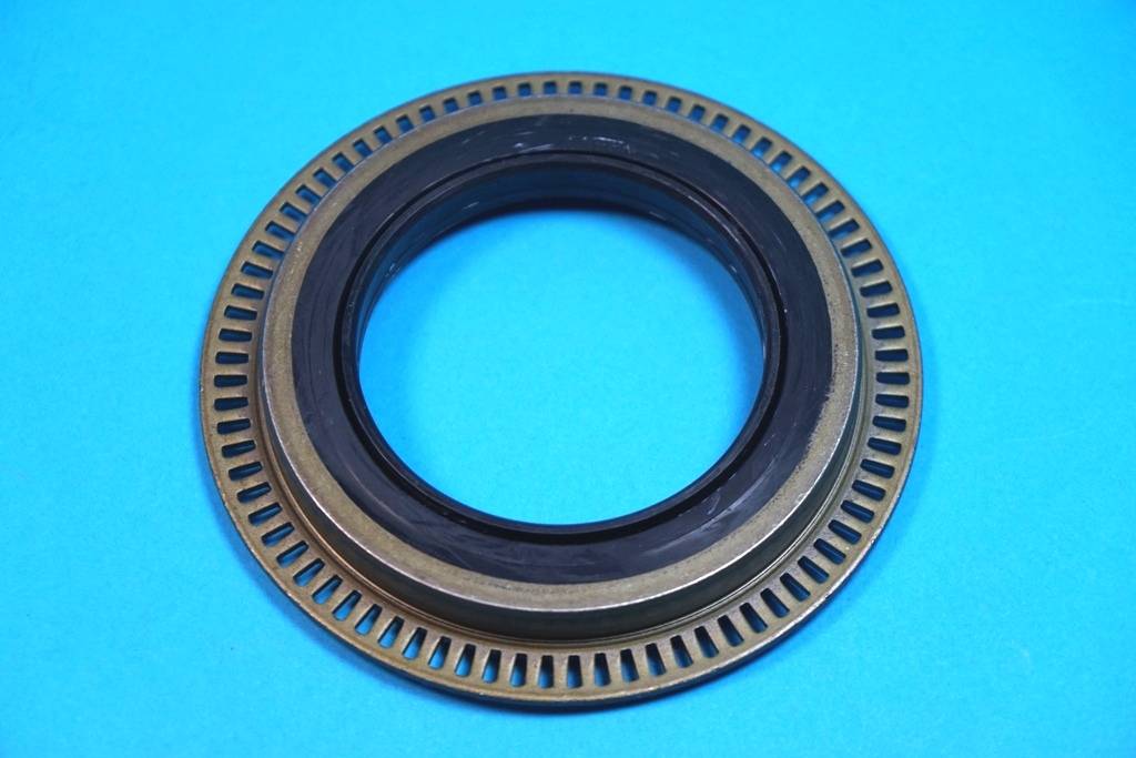 Wellendichtring mit Polrad - 75x110/134x10/17